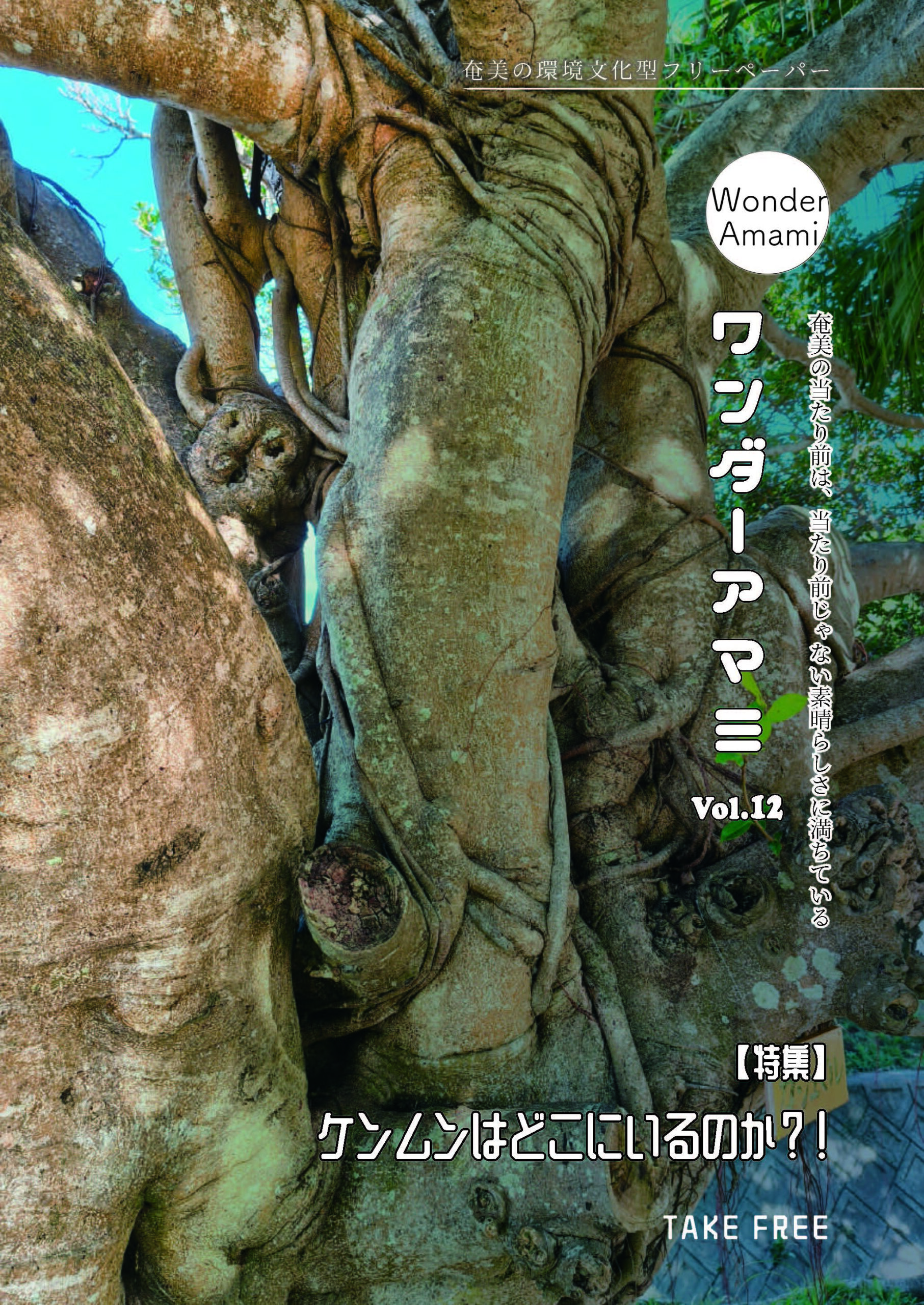 ワンダーアマミVol.12に『奄美のケンモン』恵原義盛(著)がとりあげられました！